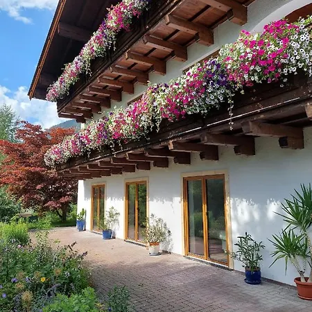 Stony Sea Saalfelden